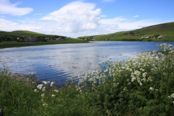 15-Oyce-Finstown